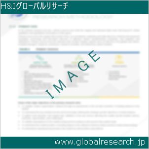グローバルリサーチ調査レポートのイメージ